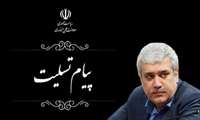 معاون علمی و فناوری رییس‌جمهوری در گذشت جان‌باختگان سقوط هواپیمای اوکراین را تسلیت گفت